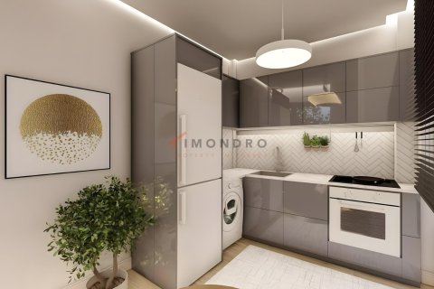 8+1 Villa  i Beyoglu, Istanbul, istanbul, Turkiet Nr. 151654 - 11