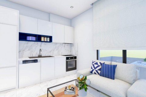 Penthäuser  in Alanya, Antalya, Türkei Nr. 210073 - 14