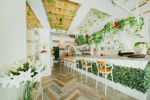 آپارتمان در Northern Cyprus ، ترکیه 54 متر مربع. شماره 190500 - 15