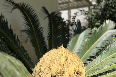 1+1 Lägenhet  i Antalya, Turkiet Nr. 184399 - 21