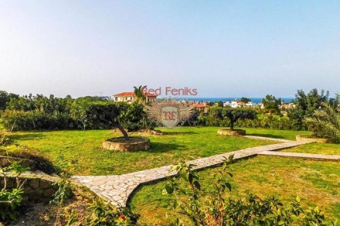 Продажа виллы  в Гирне, Северный Кипр 3+1, 400м2, №192803 – фото 24