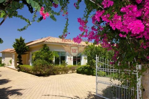 Продажа виллы  в Гирне, Северный Кипр 3+1, 400м2, №192803 – фото 21