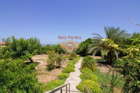 Продажа виллы  в Гирне, Северный Кипр 3+1, 400м2, №192803 – фото 23