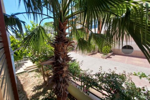 Wohnung  in Mahmutlar, Antalya, Türkei Nr. 210035 - 8