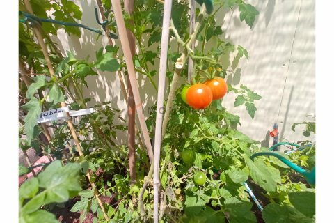 4+1 Villa  in Esentepe, Girne,  Nr. 210319 - 25