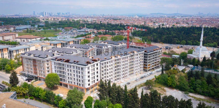 Квартира  4+1 в Зейтинбурну, Стамбул, Турция №210321