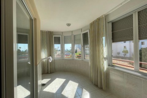Leilighet  i Mahmutlar, Antalya, Tyrkia Nr. 209847 - 13