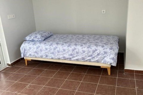 Villa  i Oba, Antalya, Tyrkia Nr. 208048 - 19