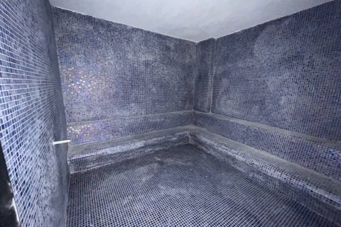 1+1 Lejlighed  i Alanya, Antalya, Tyrkiet Nr. 154765 - 12