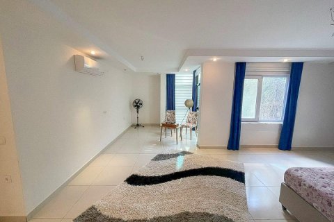 آپارتمان در  Kestel ، ترکیه 225 متر مربع.  شماره 208786 - 11