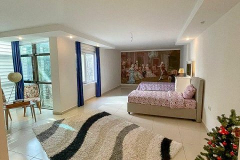 آپارتمان در  Kestel ، ترکیه 225 متر مربع.  شماره 208786 - 12