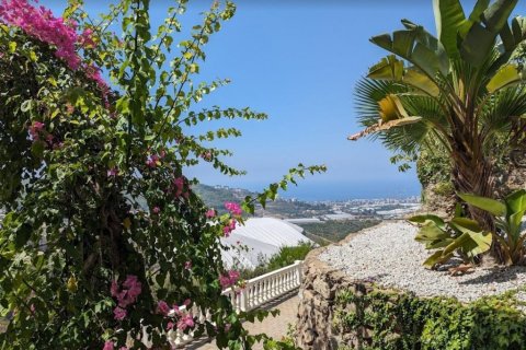 Leilighet  i Kargicak, Alanya, Antalya, Tyrkia Nr. 194340 - 3