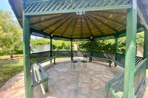 Lejlighed  i Alanya, Antalya, Tyrkiet Nr. 207140 - 20