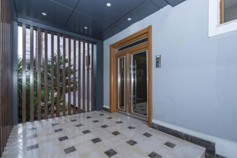 Penthäuser  in Alanya, Antalya, Türkei Nr. 208970 - 4