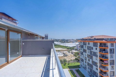 Penthäuser  in Avsallar, Antalya, Türkei Nr. 208713 - 23