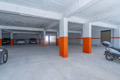 Penthäuser  in Avsallar, Antalya, Türkei Nr. 208713 - 9