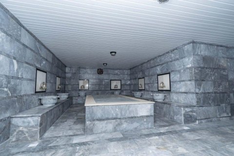 Продажа пентхауса  в Кестеле, Анталье, Турция 5 комн., 270м2, №208707 – фото 14