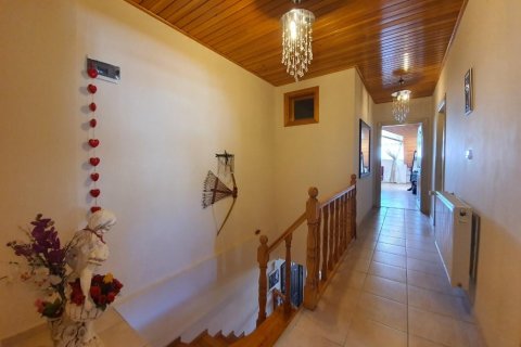 Продажа квартиры  в Джикджилли, Анталье, Турция 6 комн., 360м2, №207712 – фото 14