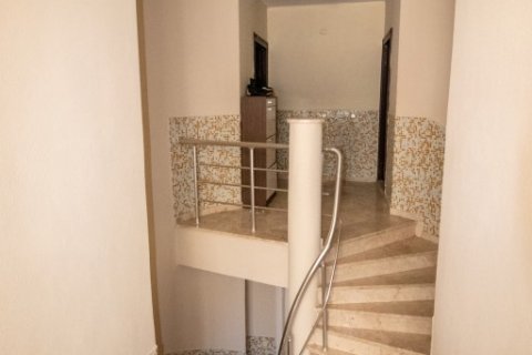 Lägenhet i Bektas, Alanya, Antalya, Turkiet Nr. 208108 - 8