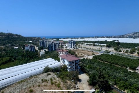 1+1 Lejlighed  i Alanya, Antalya, Tyrkiet Nr. 144042 - 26