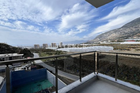 1+1 Wohnung in Alanya, Antalya, Türkei Nr. 82216 - 19