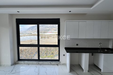 1+1 Wohnung in Alanya, Antalya, Türkei Nr. 82216 - 14