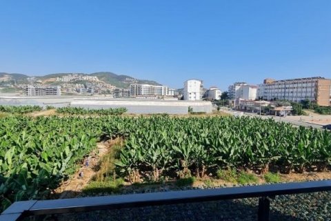 Продажа квартиры  в Аланье, Анталье, Турция 2 комн., 60м2, №209676 – фото 18