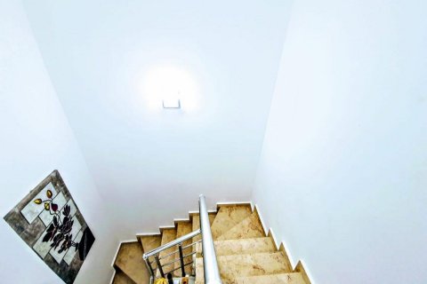 Daire   Mahmutlar, Antalya, Türkiye №209678 - 14