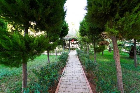 Lägenhet  i Mahmutlar, Antalya, Turkiet Nr. 209149 - 6