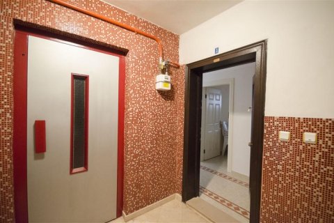 Lejlighed i Alanya, Antalya, Tyrkiet Nr. 210029 - 14