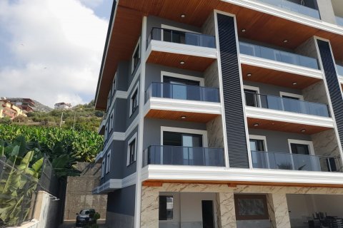 1+1 Wohnung  in Alanya, Antalya, Türkei Nr. 115867 - 3