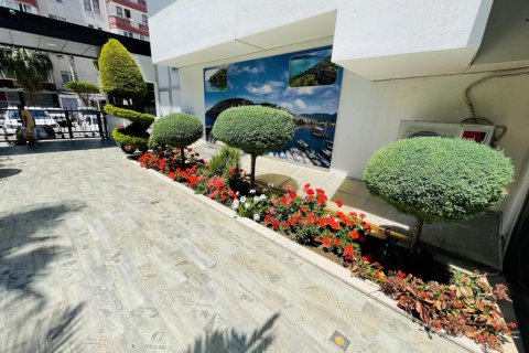 Lägenhet  i Mahmutlar, Antalya, Turkiet Nr. 208014 - 24