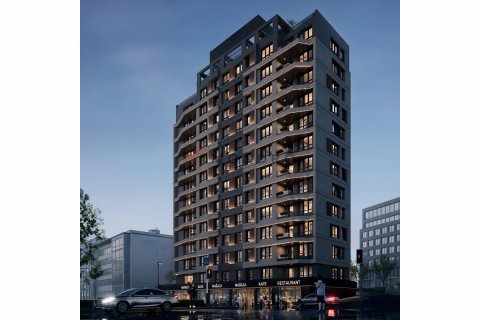 2+1 Wohnung  in Zeytinburnu, Istanbul, Türkei Nr. 206942 - 2