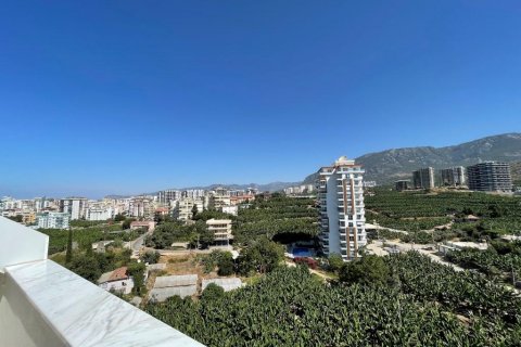 آپارتمان در  Mahmutlar ، ترکیه 180 متر مربع.  شماره 209741 - 23