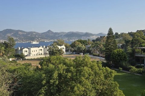 Аренда квартиры  в Бодруме, Мугле, Турция 1+1, 40м2, №192406 – фото 2