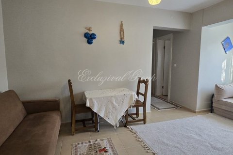 Аренда квартиры  в Бодруме, Мугле, Турция 1+1, 40м2, №192406 – фото 13