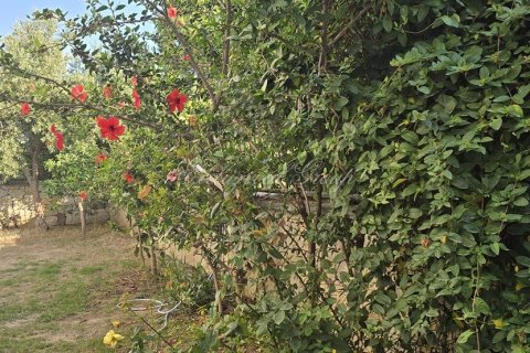 Аренда квартиры  в Бодруме, Мугле, Турция 1+1, 40м2, №192406 – фото 21