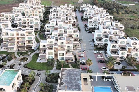 2+1 Penthäuser  in Guzelyurt,  Nr. 210465 - 10