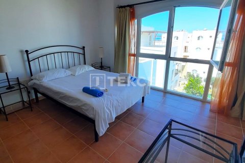 2+1 Penthäuser  in Guzelyurt,  Nr. 210465 - 17