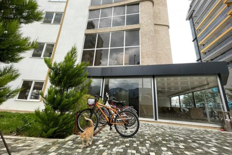 Lägenhet  i Mahmutlar, Antalya, Turkiet Nr. 209127 - 22