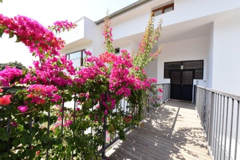 Takleilighet  i Alanya, Antalya, Tyrkia Nr. 209392 - 5