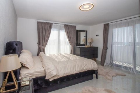 Penthäuser  in Alanya, Antalya, Türkei Nr. 209395 - 10