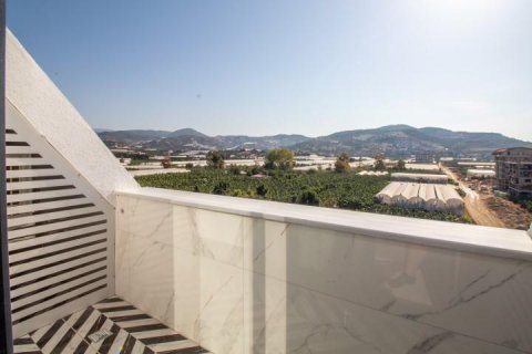 Penthäuser  in Alanya, Antalya, Türkei Nr. 209395 - 15