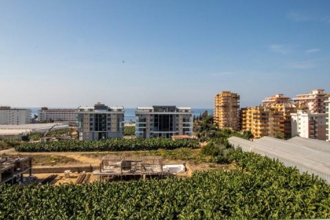 Penthäuser  in Alanya, Antalya, Türkei Nr. 209395 - 12