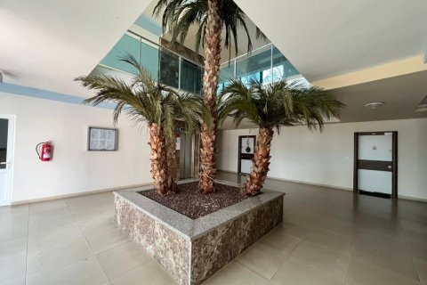 Wohnung  in Cikcilli, Antalya, Türkei Nr. 206710 - 18