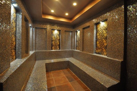 Wohnung  in Mahmutlar, Antalya, Türkei Nr. 209546 - 25