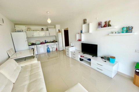 آپارتمان در Demirtas،  Alanya ، ترکیه 100 متر مربع.  شماره 208510 - 13