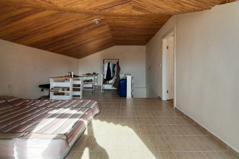 پنت هاس در  Oba ، ترکیه 160 متر مربع.  شماره 207239 - 18